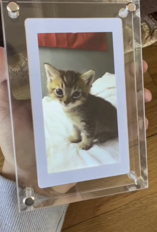 A Digital Frame For Loved